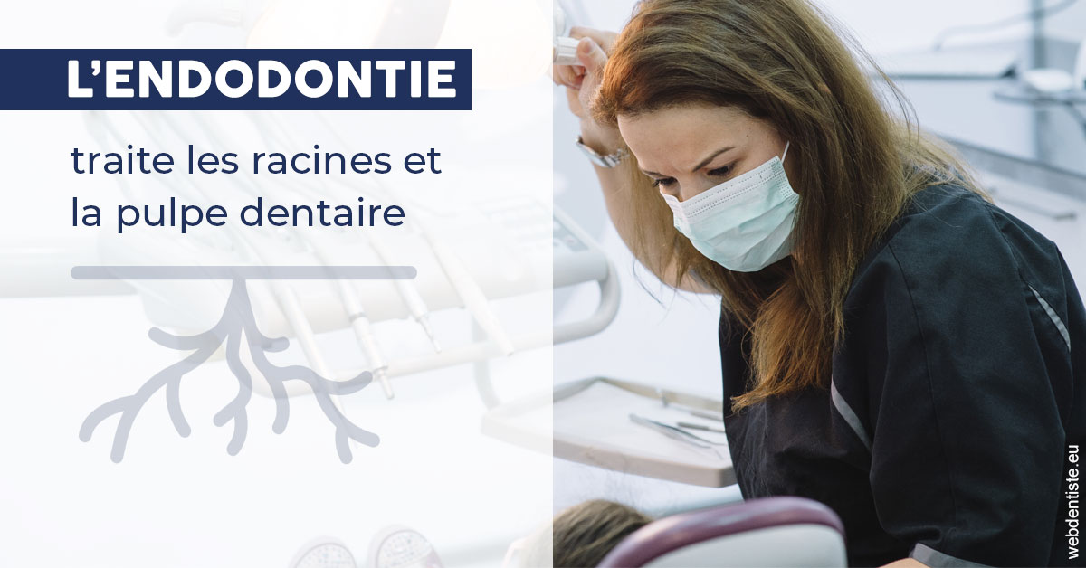 https://selarl-cabinet-docteur-bertrand.chirurgiens-dentistes.fr/L'endodontie 1