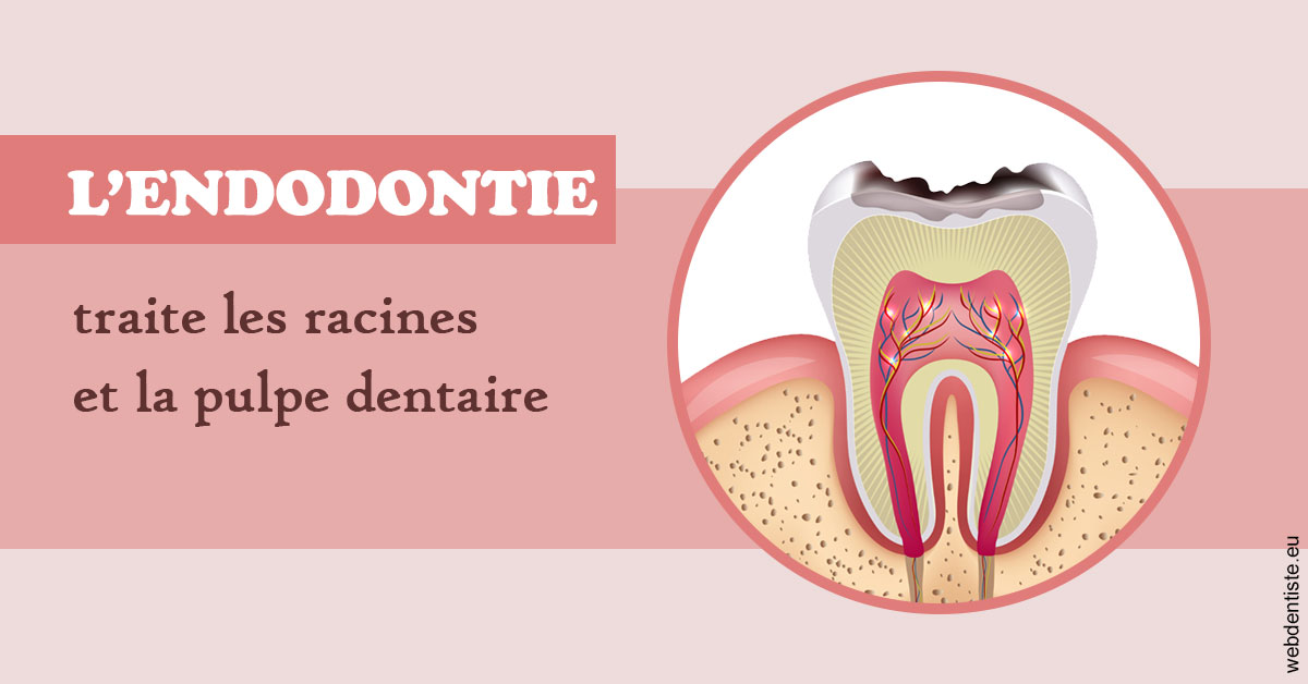 https://selarl-cabinet-docteur-bertrand.chirurgiens-dentistes.fr/L'endodontie 2